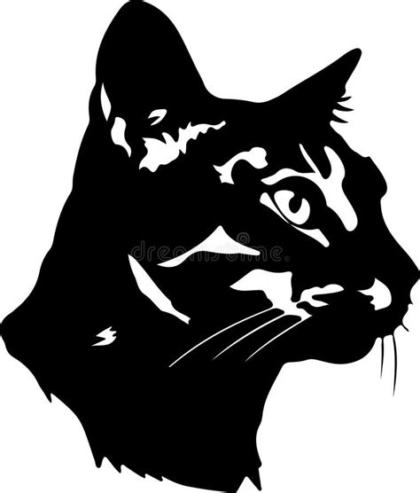 California Spangled Cat Black Silhouette Generative Ai Stock Vector - Illustration of spangled ...