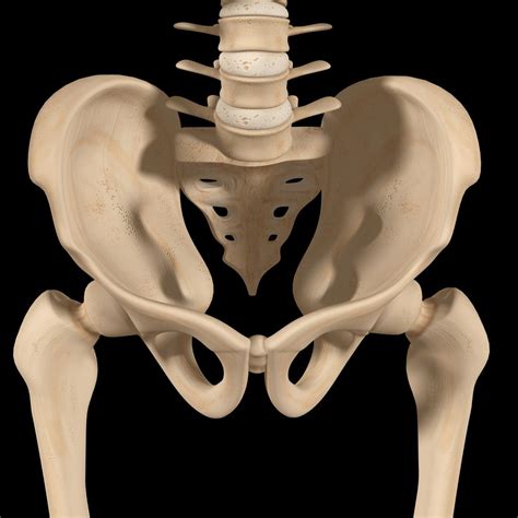 Tilted Pelvis - Symptoms, Treatments, and Causes