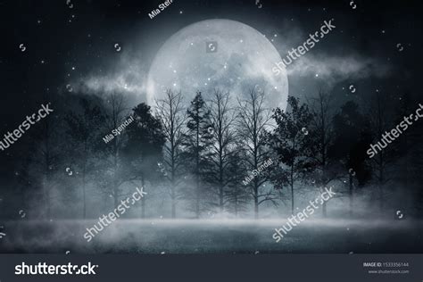 Dark Forest Gloomy Dark Scene Trees Stock Photo 1533356144 | Shutterstock