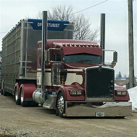 Bull Hauler Kenworth Trucks Cattle Trailers Trucks | My XXX Hot Girl