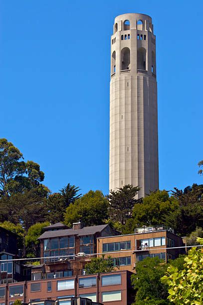 Coit Tower Pictures, Images and Stock Photos - iStock