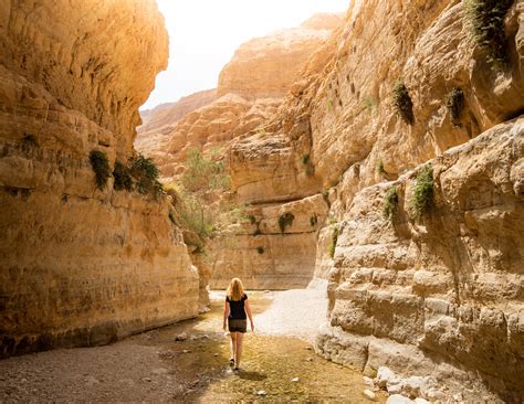 7 of the most exciting Israel hikes which you will love! — Walk My World