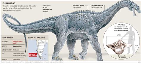 What's World's Largest Reptile?