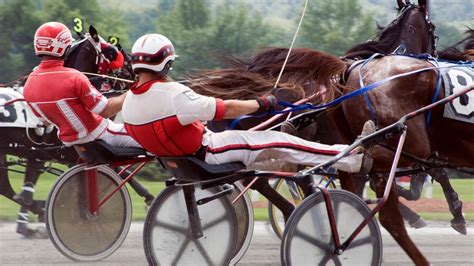 What Is Horse Racing with a Cart Called? and What's a Sulky?