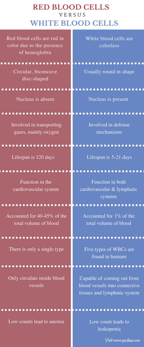 Difference Between Red Blood Cells and White Blood Cells | Characteristics, Structure, Function