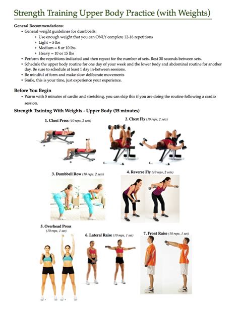 Muscular Strength And Endurance Upper Body Exercises - Exercise Poster