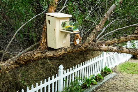 How To - DIY Squirrel Nesting Box | Hallmark Channel