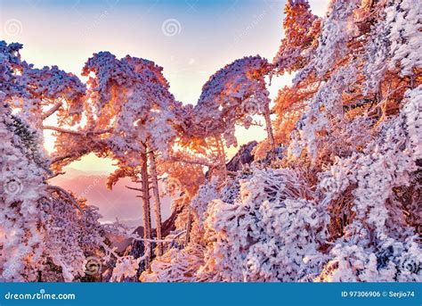 Winter Sunrise Landscape in Huangshan National Park Stock Photo - Image of freeze, relax: 97306906