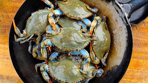 Blue Crab | Fresh Seafood in Georgia | Georgia Grown