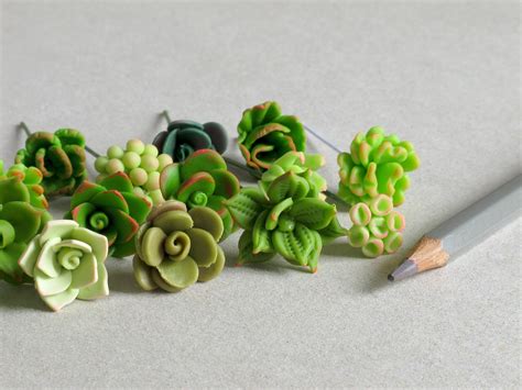 Miniature Succulents Assorted Green Selection 10 Pieces | Etsy