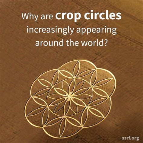 Crop circles explained through spiritual research - Spiritual Science Research Foundation | Crop ...