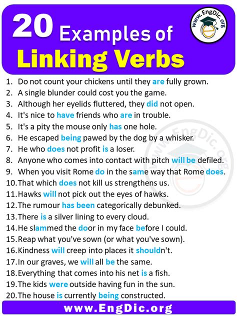 20 Examples of Linking Verbs in Sentences - EngDic