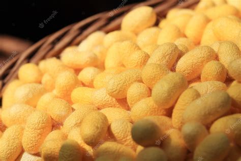 Premium Photo | Close up silk worm cocoon.