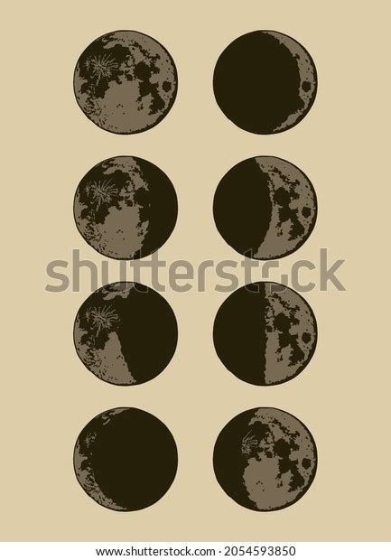 Moon Moon Phases Modern Colors Contemporary Stock Vector (Royalty Free ...