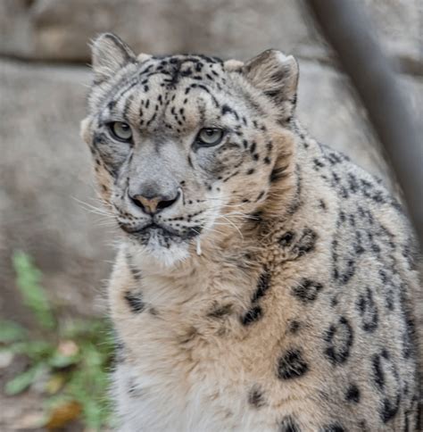 It's Frosty Free Week at the Milwaukee County Zoo - Milwaukee With Kids