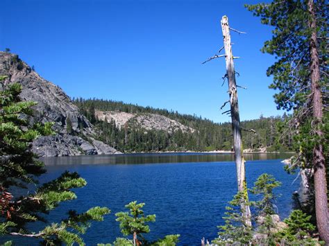 a large body of water surrounded by pine trees and mountain side with blue sky in the background