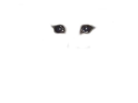 Crying Cat Meme PNG Photos - PNG Mart