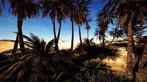 Oasis at the moroccan desert dunes 6680337 Stock Photo at Vecteezy