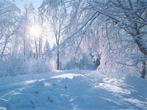 beautiful nature winter wallpaper |Wallpaper Express is all About Nature Wallapers