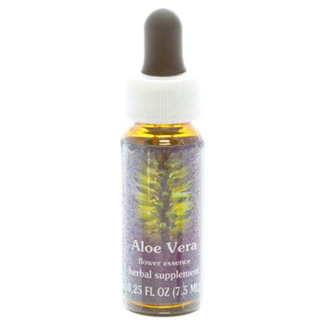 Evergreen Nutrition | Aloe Vera Flower Essence | 0.25 FL OZ - Evergreen ...