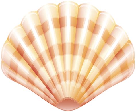 Clam Shellfish Seashell Clip art - clam png download - 600*494 - Free Transparent Clam png ...