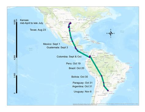 VCE Tracks Upland Sandpiper Across 10 Countries During Fall Migration | Vermont Center for ...