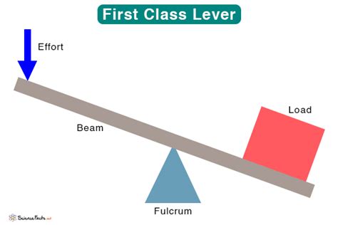 Lever: Definition, Parts, Types, and Examples