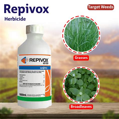 Syngenta Repivox Herbicide - 1 LT at Rs 1586.00 | Syngenta Herbicides | ID: 2853489658548