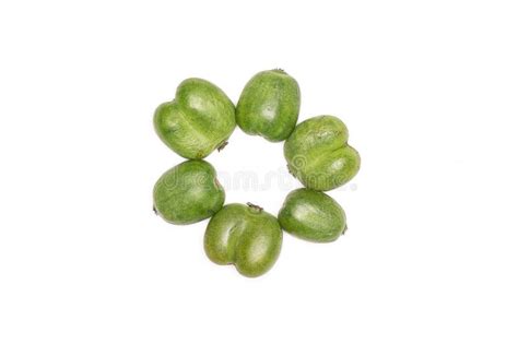 Fresh Green Mini Baby Kiwi Fruit Isolated on White Stock Photo - Image of ripe, hardy: 128930586