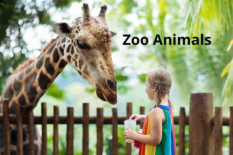 Zoo Animals » Resources » Surfnetkids