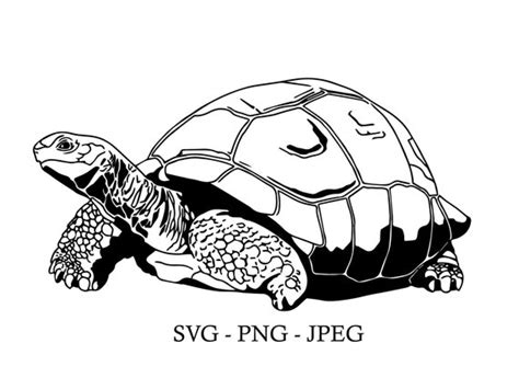 Schildkröte SVG/PNG/JPEG Digital Art File Schildkröte Line - Etsy.de