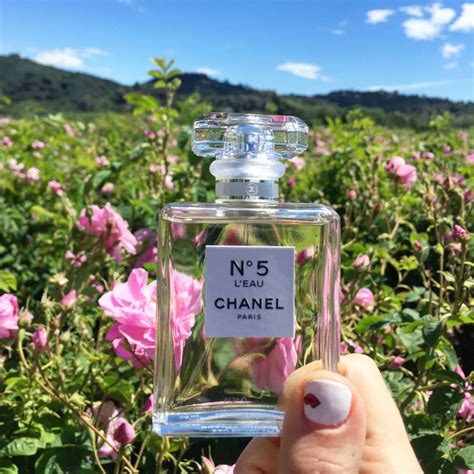 Chanel No. 5 L'eau | POPSUGAR Beauty