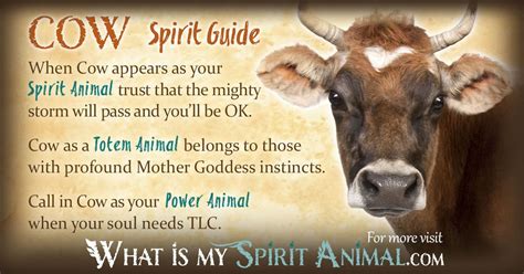 Cow Symbolism & Meaning | Spirit, Totem & Power Animal