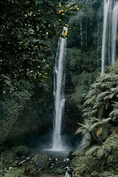 "Waterfall In The Jungle" by Stocksy Contributor "Julia Volk" - Stocksy