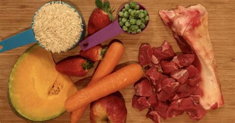 A vet-approved grain-free raw dog food recipe | Walkerville Vet