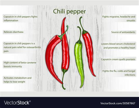 Chili pepper health benefits infographics Vector Image