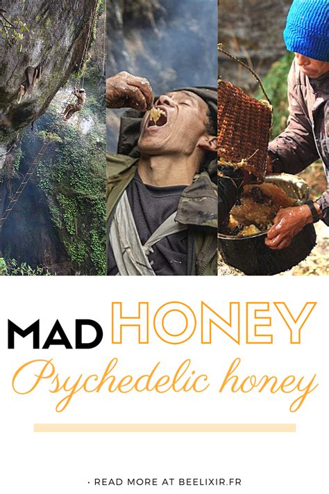 Mad Honey - Nepalese hallucinogenic honey | Psychedelic, What is mad, Honey