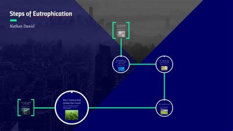 Steps of Eutrophication by Nathan Daniel on Prezi