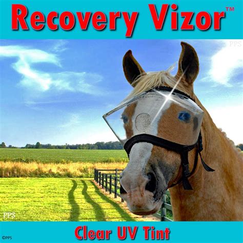 Buy Horse Medical and Preventative Clear UV Recovery Vizor (Size Horse/Full) - Uveitis ...