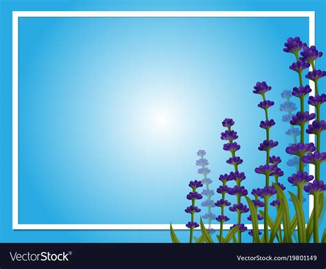 Border template with lavender flowers Royalty Free Vector