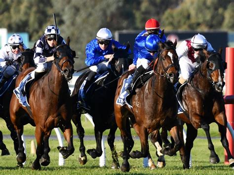 South Australia Racing | Horse Racing News, Guides & Results | news.com ...