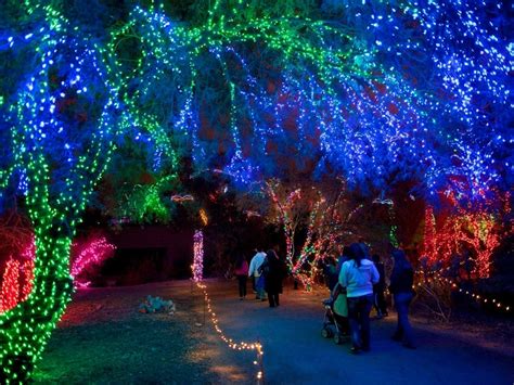 Phoenix Zoo Holding Drive-Thru ZooLights During The Holidays | Phoenix, AZ Patch