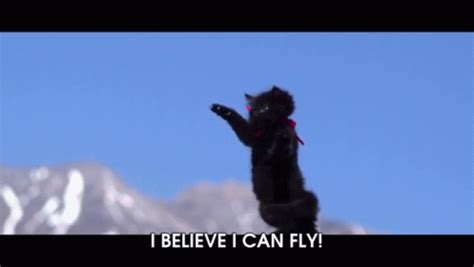 This Is A Flying Cat! GIF - Pet Cat Black - Discover & Share GIFs