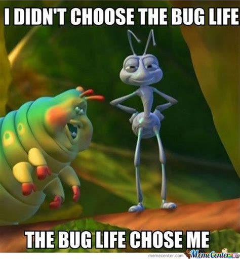 1000+ images about Bug Funnies on Pinterest | Roaches, Caterpillar and The fly