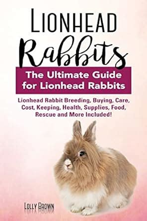 Lionhead Rabbits: Lionhead Rabbit Breeding, Buying, Care, Cost, Keeping ...