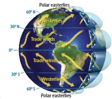 Polar Easterlies Definition