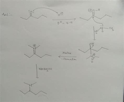 [Solved] Draw the reductive amination reaction of a hexane-3-one with... | Course Hero