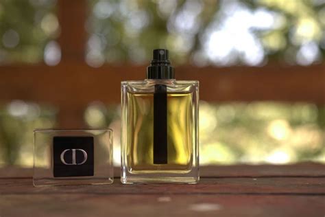 Dior Homme Parfum 100 Ml Avis Online Factory | www.oceanproperty.co.th