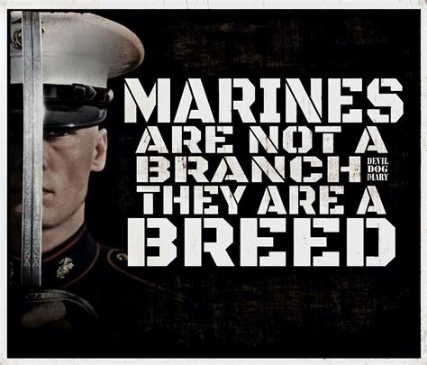 The Marines | Marine corps quotes, Marine quotes, Usmc quotes