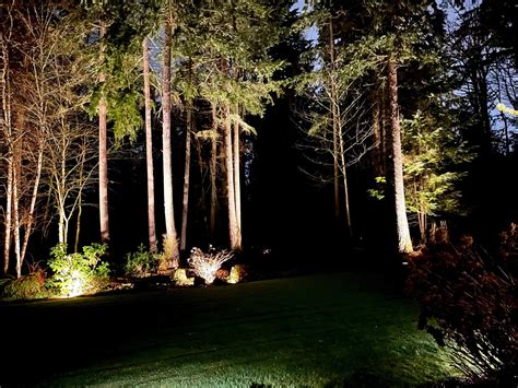 Outdoor Lighting Design & Installation Company in Redmond